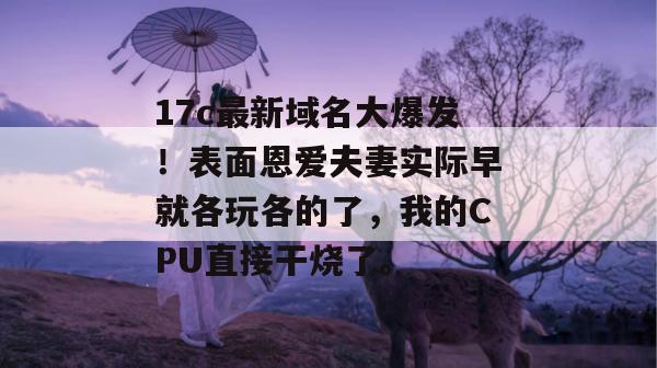 17c最新域名大爆发！表面恩爱夫妻实际早就各玩各的了，我的CPU直接干烧了。